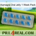 Kamagra Oral Jelly 1 Week Pack 22